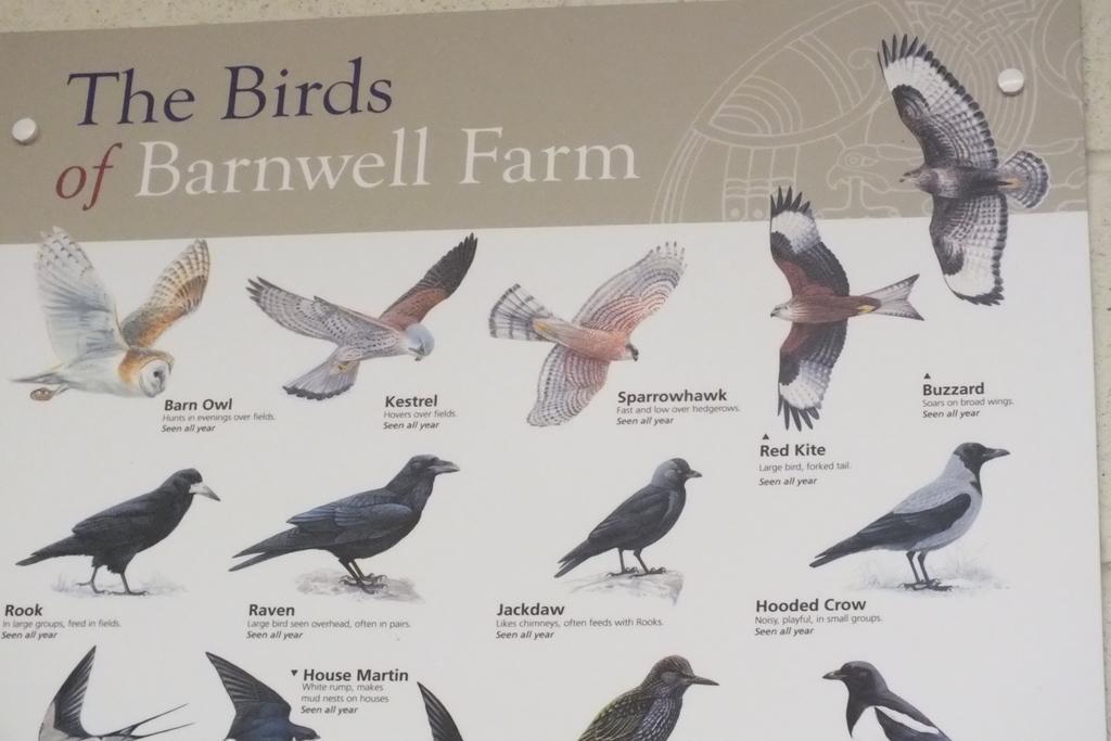 Greyabbey Barnwell Farm Cottages Corn Cottage חדר תמונה